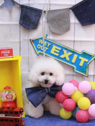 20230427チュッチュくん